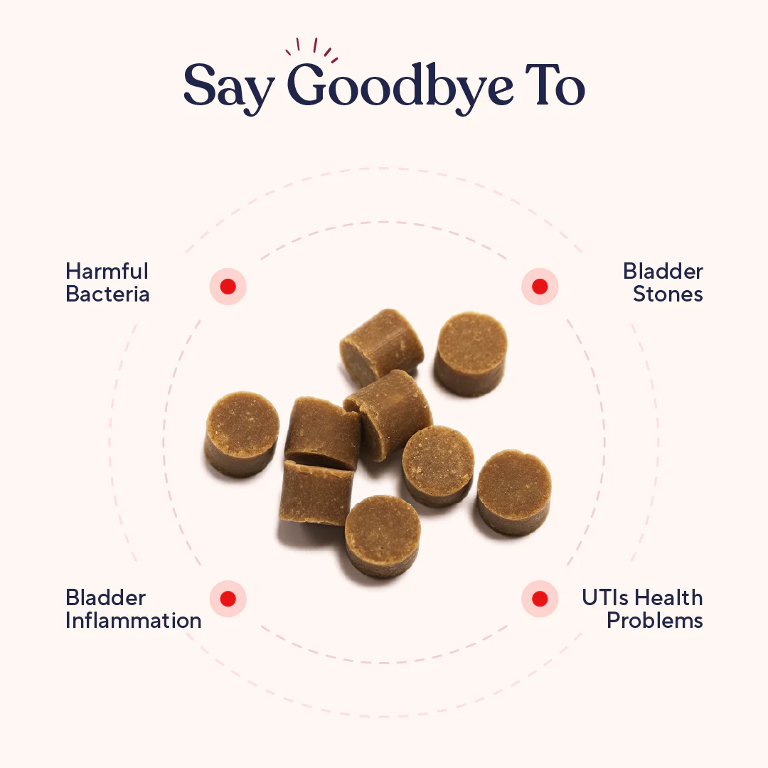Urinary & Bladder - Image 3
